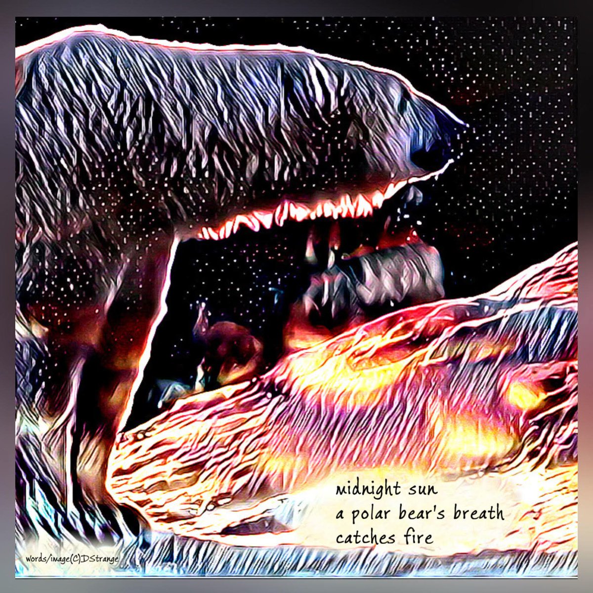 InkSweatTears's tweet image. Debbie Strange's 'midnight sun' meditates on light and breathing as a new day breaks, and we go into the New Year. @Debbie_Strange

See it here: inksweatandtears.co.uk/debbie-strange…

#NewYearsPoem #PolarBear #12DaysOf #NewYear2026