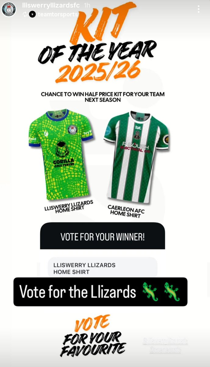 One last push, we need everyone's vote in the final 🙌🏼🦎🦎🦎💙⚽
Use the link - instagram.com/stories/teamto…