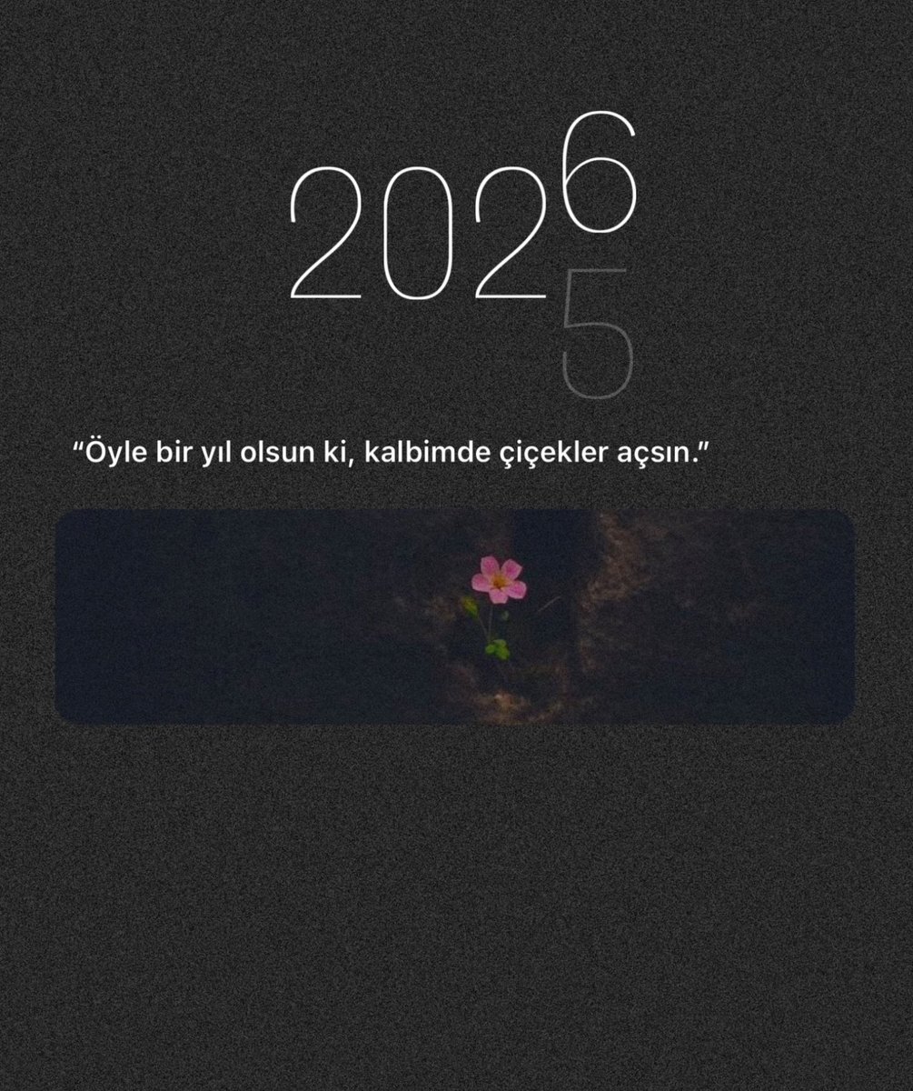 Ardıç Kuşu (@ardiskusu) on Twitter photo 