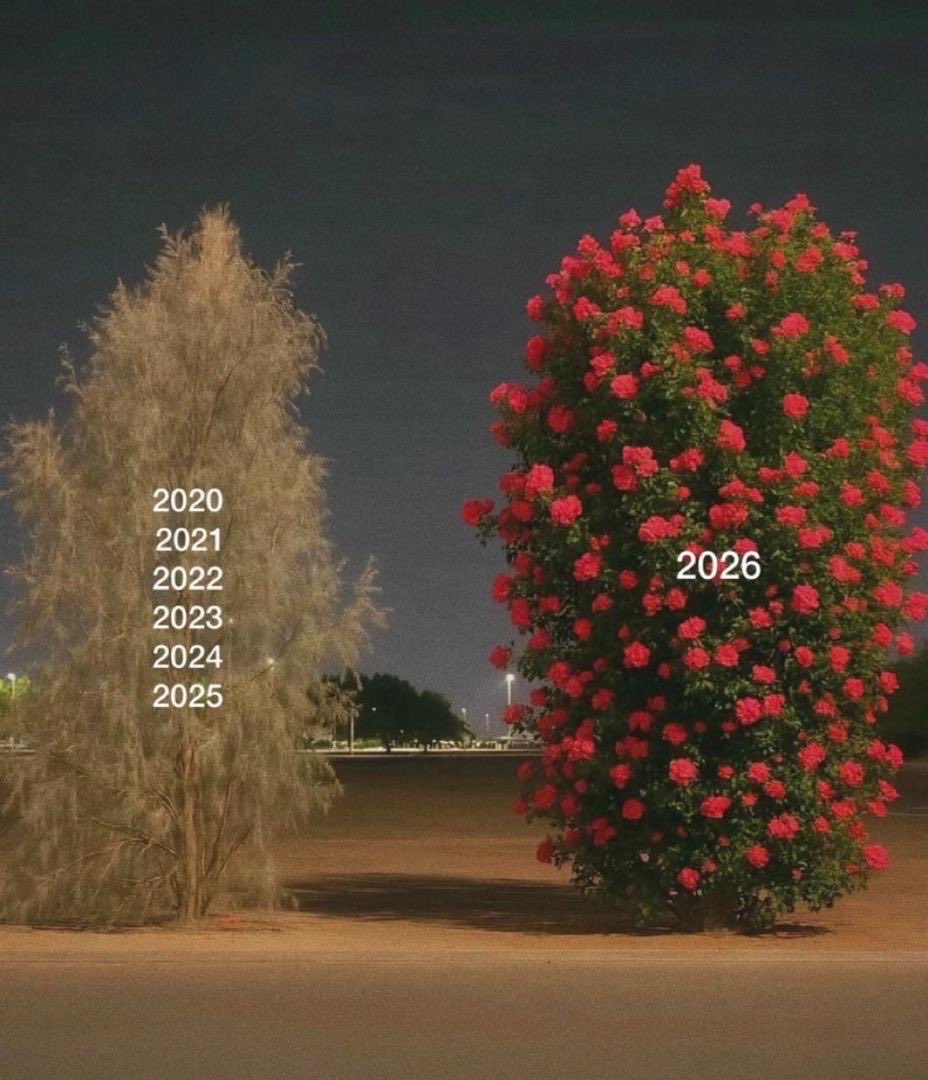 sinclair2626's tweet image. 