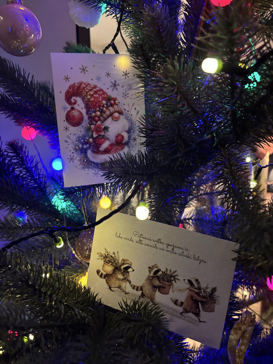 Šī gada pēdējās saņemtas 🤍 paldies gan <a href="/ARuperte/">Agnese</a>, gan <a href="/happynorelle_/">Norelle</a> ,ar kuru izskatās, ka esam samainījušās ar kartītēm 🎄🤍