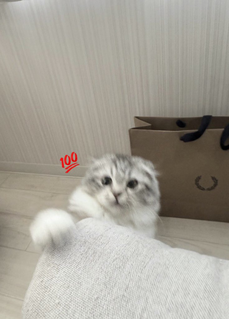 Warkk13's tweet photo. 12月 インフルで死にかけたけど楽しい月だった😵 素敵な出会いもあったし1年あーーーっという間！2025は1番行動して一気に生活が変わった年だった！辛いことも多かったけど最近は前向きに生きてけてる気がする
周りに恵まれてるすごい幸せな事だね
忘れないようにしないと https://t.co/QevX18rq76