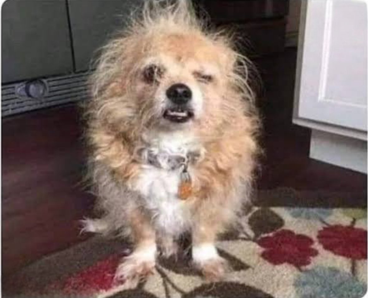 “2026 va a ser mi año”
Yo despertando el primer día: