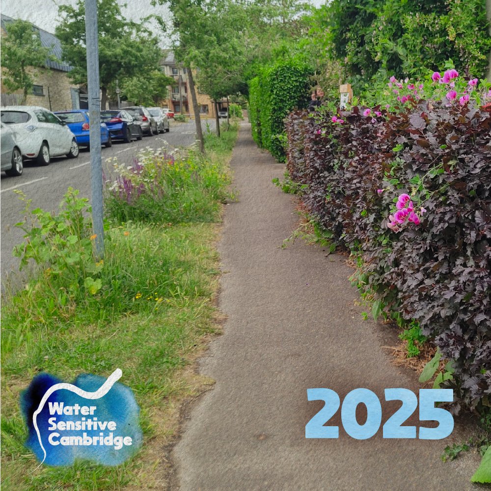 Water Sensitive Cambridge tweet media