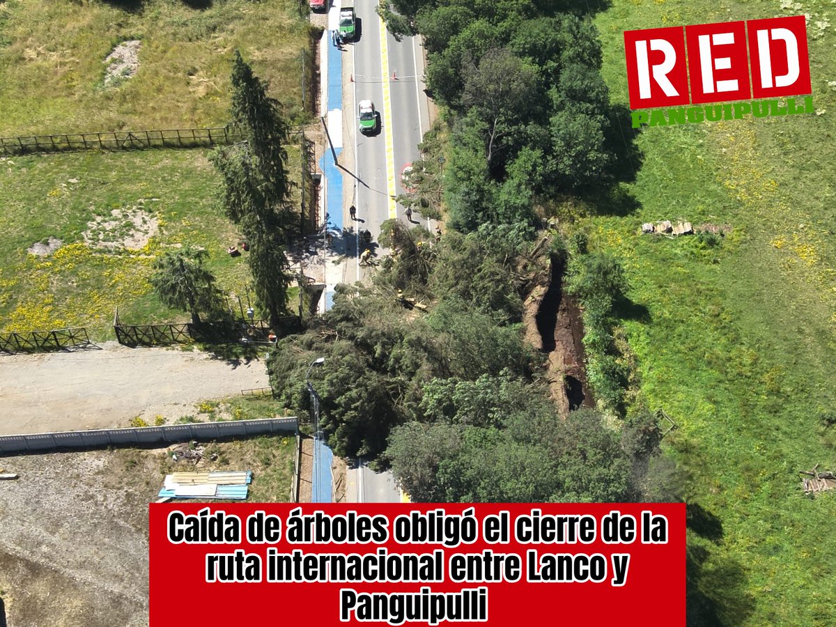 🔴 Caída de árboles obligó el cierre de la ruta internacional entre Lanco y Panguipulli 

La totalidad de la vía se encuentra obstaculizada a raíz de la caída de 3 árboles en la ruta CH-203, tramo Lanco a Panguipulli, desde la salida a Lanco, dónde aún se trabaja para el despeje.
