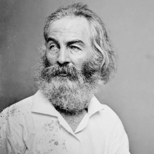 Paroles d'auteurs tweet media