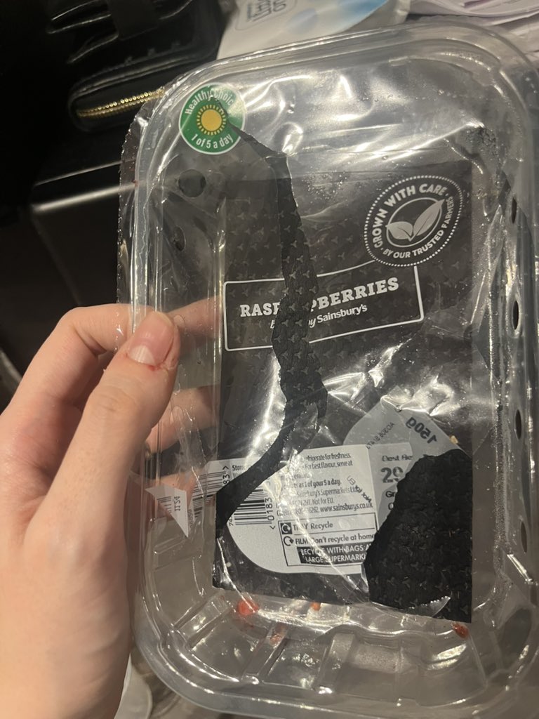 Amyt4696's tweet photo. @sainsburys my 3 year old niece just found this bug in her raspberries! Thankfully got it off before she ate it https://t.co/iUONfziXjb