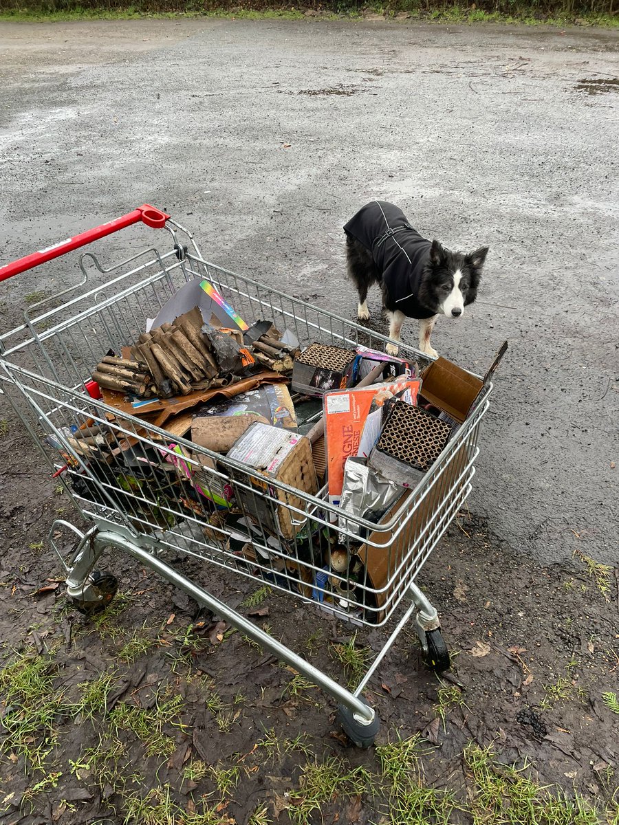 PIT_Taubenherz's tweet image. #Boellerverbotjetzt !!! 
Marielle war mit Lucy und Paul auf dem Feld. Gassirunde.... 
Den Korb haben sie aus dem Fluss gezogen und den Inhalt vom Feld gesammelt. Wahnsinn!