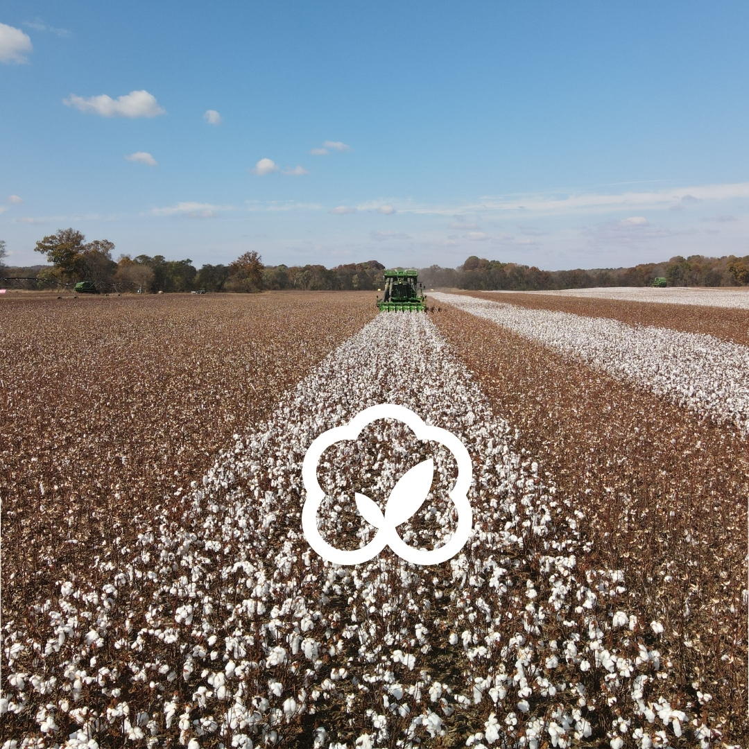 Now that harvest season is over, it's time to reflect, analyze data, and plan for next year.

The Trust Protocol helps growers turn insights into action. Learn more: trustuscotton.org

 #EndofSeason