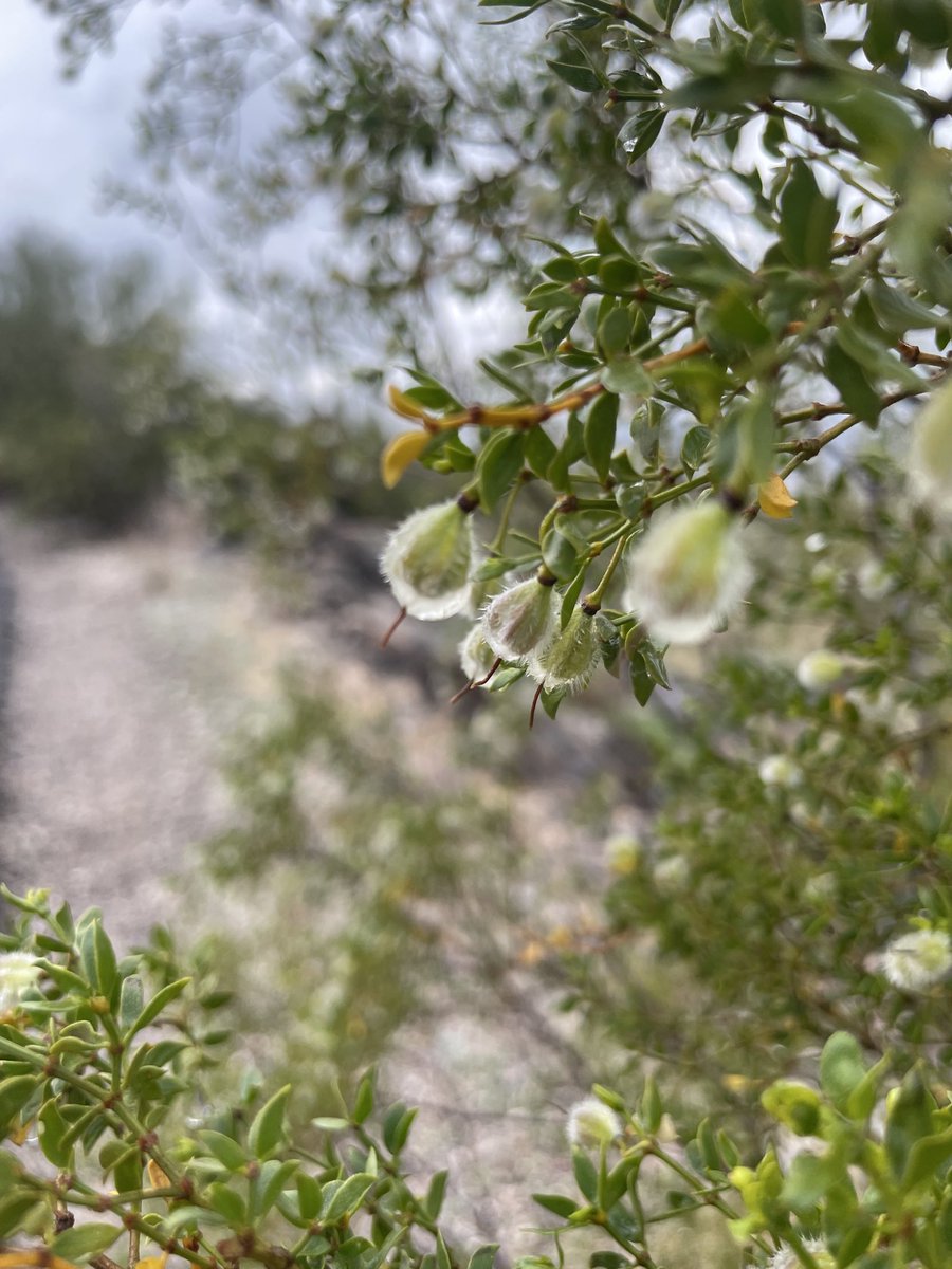 Andrew Emery Brown tweet media