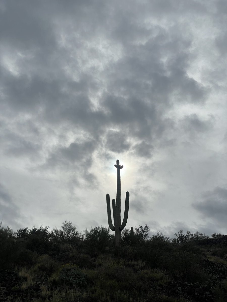 Andrew Emery Brown tweet media