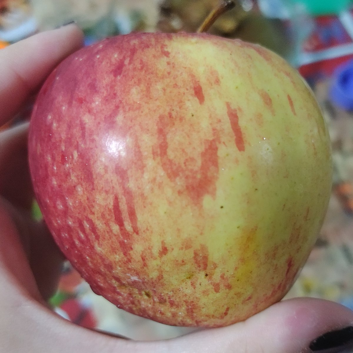 appl3eyez000's tweet image. tell me im not insane