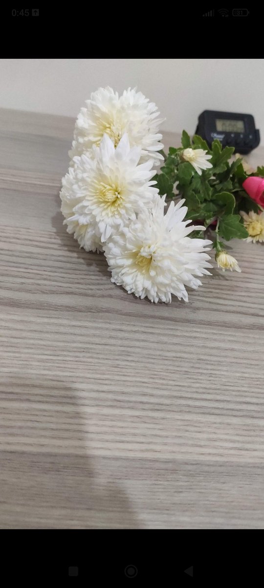 Bazı gidişler yürekte derin yaralar bırakır 🥀#bıra