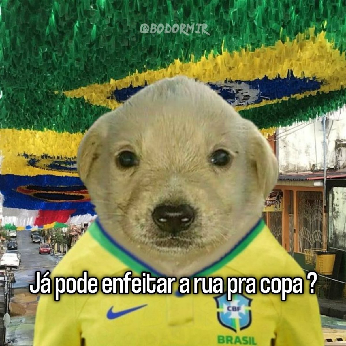 bodormir's tweet image. 