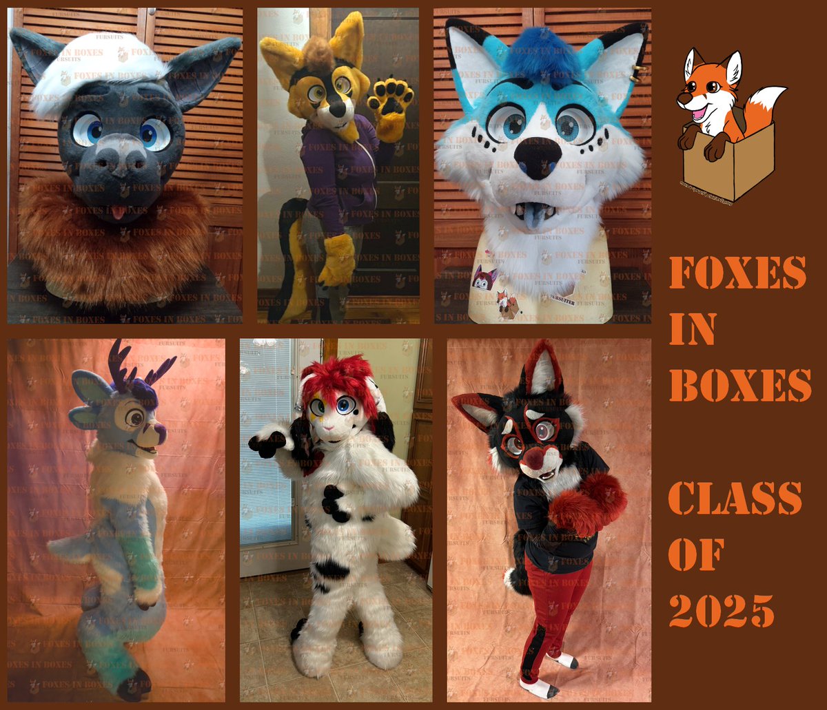 Foxes in Boxes Fursuits (FoxesinBoxes.bsky.social) tweet media