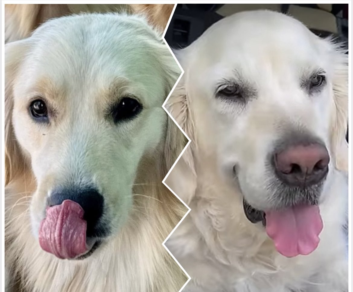 VoodsFoods 🤍🥫🧻 tweet media