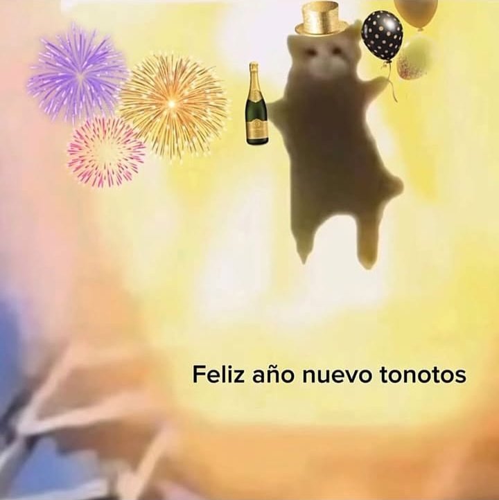 Feliz año mis queridos tonotos 🤓🎉🥂🍾