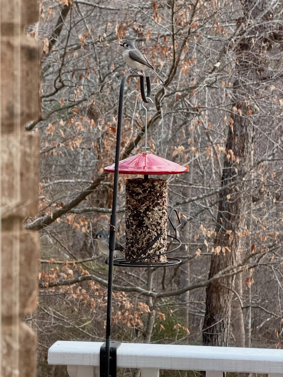 Sue Monk Kidd tweet media