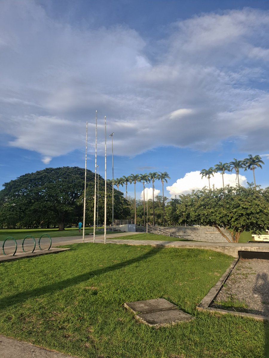 NovinhoSafadSJC's tweet photo. Parque da cidade sjcampos https://t.co/VcLLoQANI8