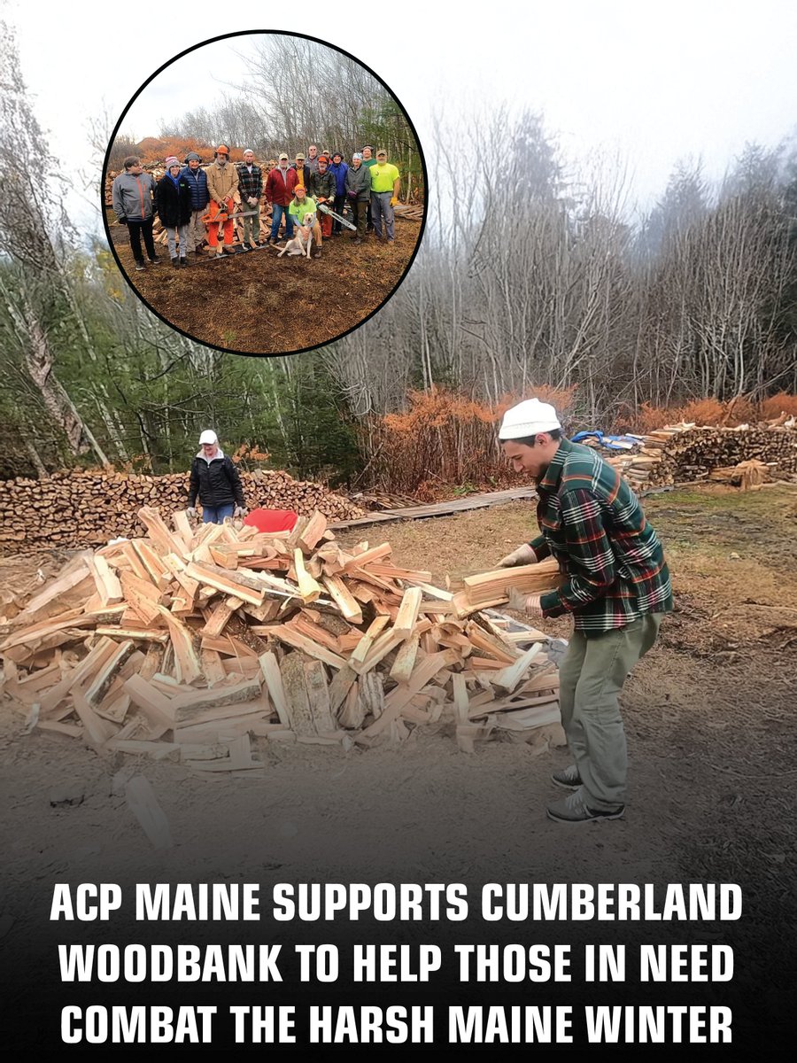ACP Maine tweet media