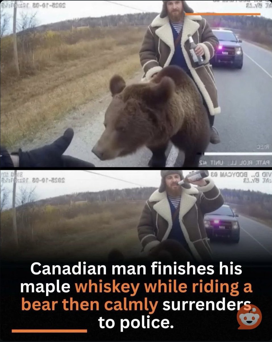 You’ve heard of Florida Man, now meet Canada Man!