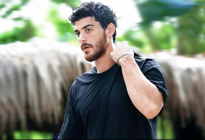 Sol üstteki 2010’da elenerek SMS’i getirdi
Sağ üstteki 2020’de elenerek 2 kolyeye bireysel dokunulmazlığı getirdi
Sol alttaki tarihin en rezil şampiyonu olarak SMS’i kaldırttı
Sağ alttaki 2025’te elenerek kader konseyini getirdi

4 büyük format değiştirici #Survivor2026