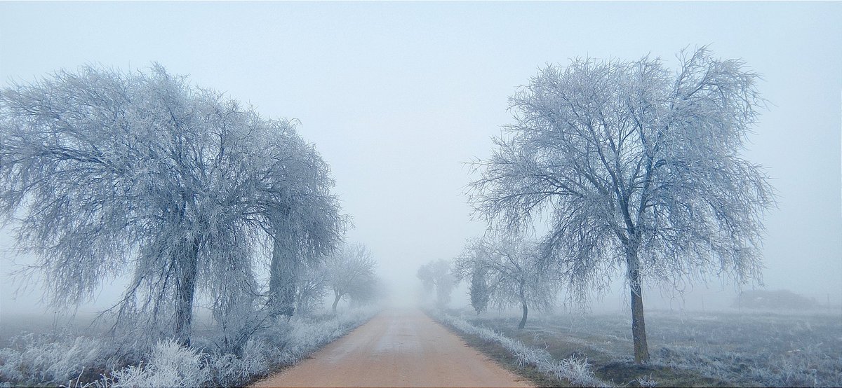boccacio59's tweet photo. Fuerte helada y niebla ,la del primer día del 2026 https://t.co/45SowVYQkh