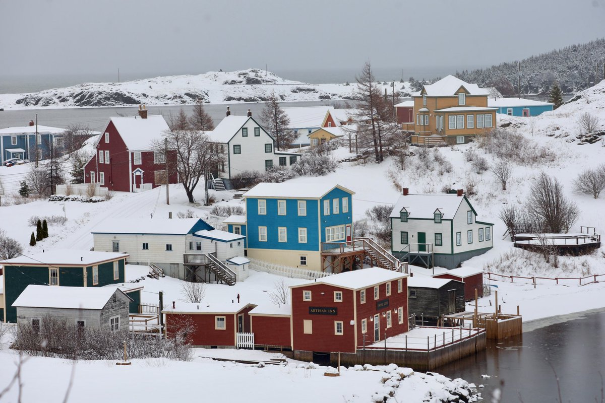 diggerjones27's tweet photo. A snowy wet start to 2026. #trinityNL #nlwx @NLtweets https://t.co/7WJIgPo3es