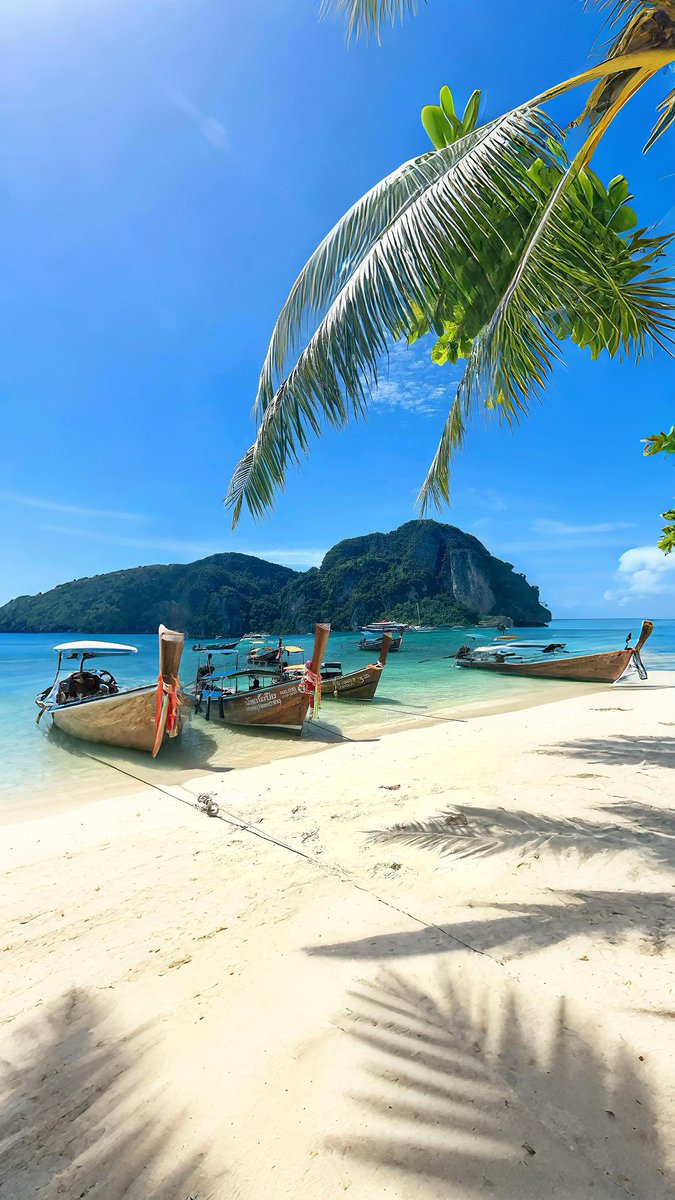 NATUREPORN2's tweet image. Phuket, Thailand 🇹🇭