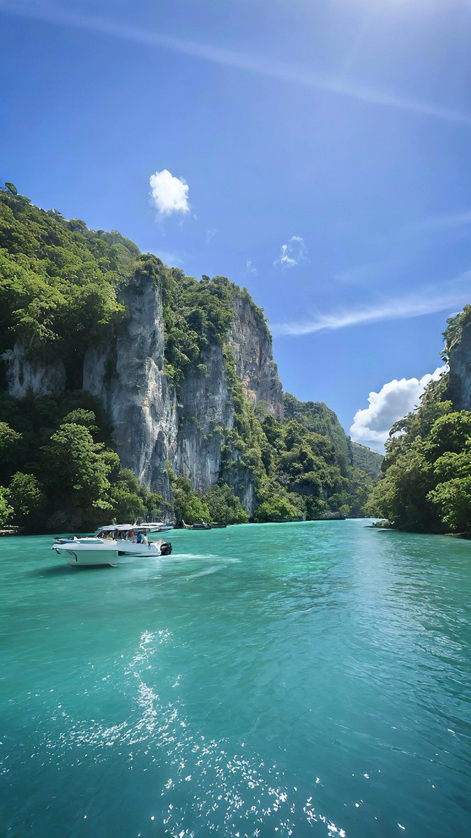 NATUREPORN2's tweet image. Phuket, Thailand 🇹🇭