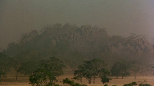 helencftroy's tweet image. picnic at hanging rock (1975)