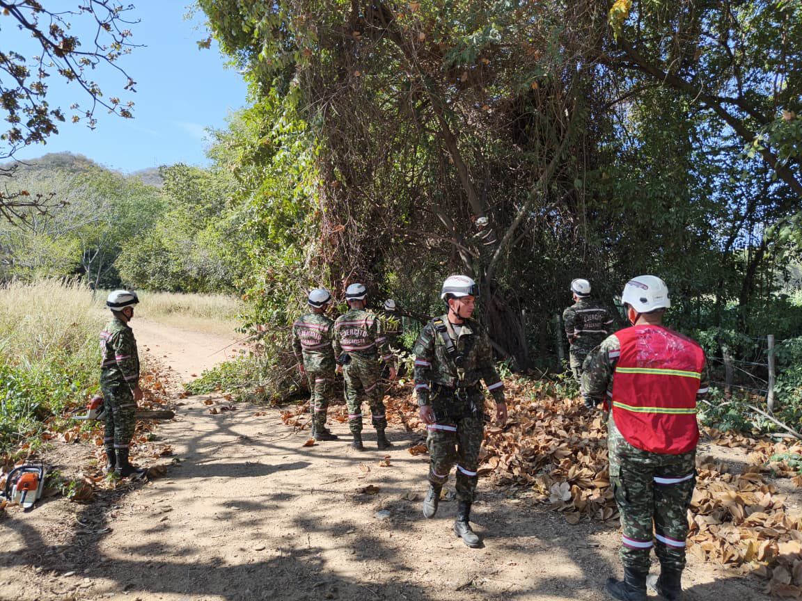 Ingenieros_EJC's tweet image. 🌳⚙️ Soldados de la Brigada de Ingenieros de Atención y Prevención de Desastres realizan trabajos de corte y poda en el BASPC N.° 5 (#Bucaramanga) y el BIMOC 70 (#Valledupar), fortaleciendo la seguridad, prevención y bienestar de nuestras tropas.

#SoldadoEsServicioSocial