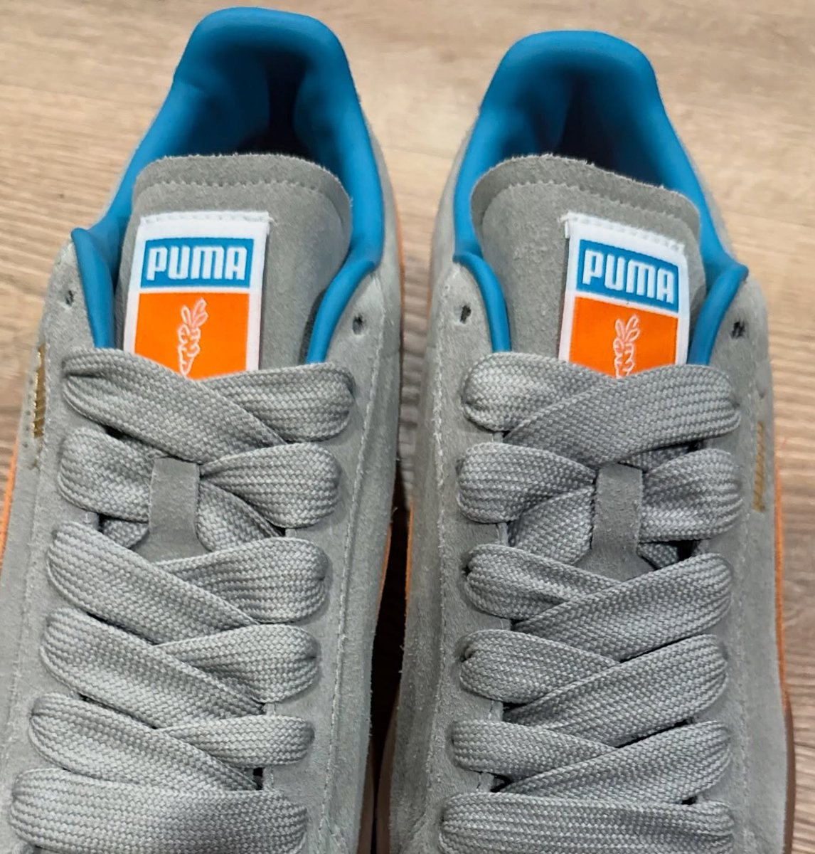 Modern Notoriety tweet media