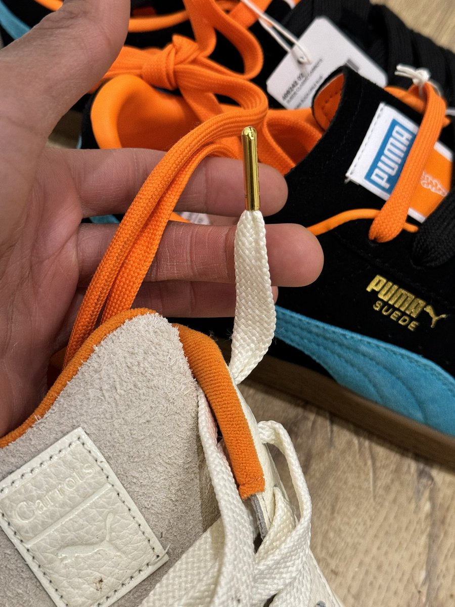 Modern Notoriety tweet media