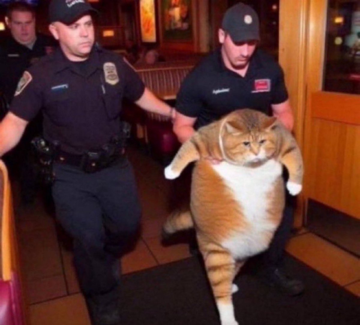 iox506's tweet image. 