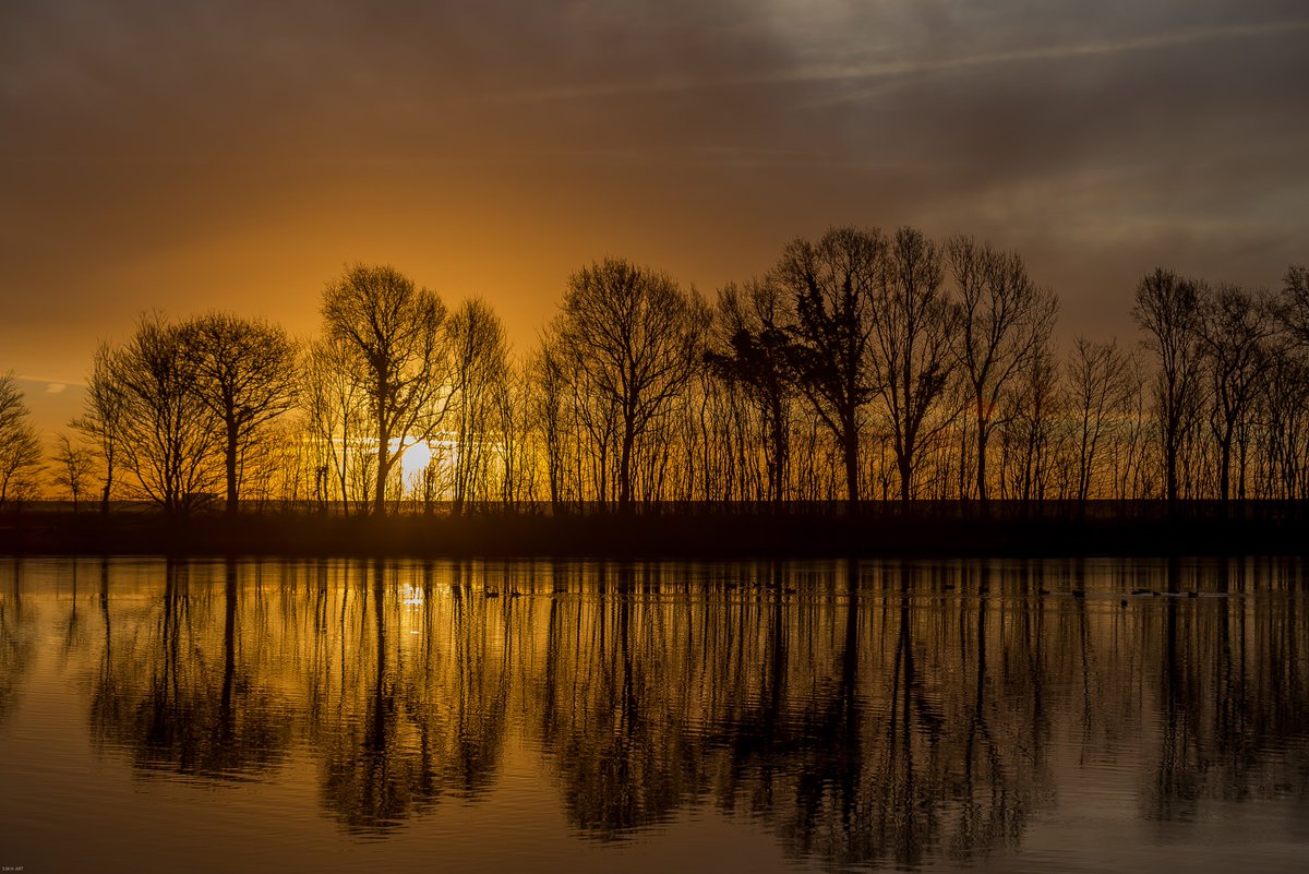 Havenlust's tweet image. Sunsets are where I pause and capture light.
This one echoed Van Gogh’s words:
“a pale golden yellow.”
→ scottmaarten.com