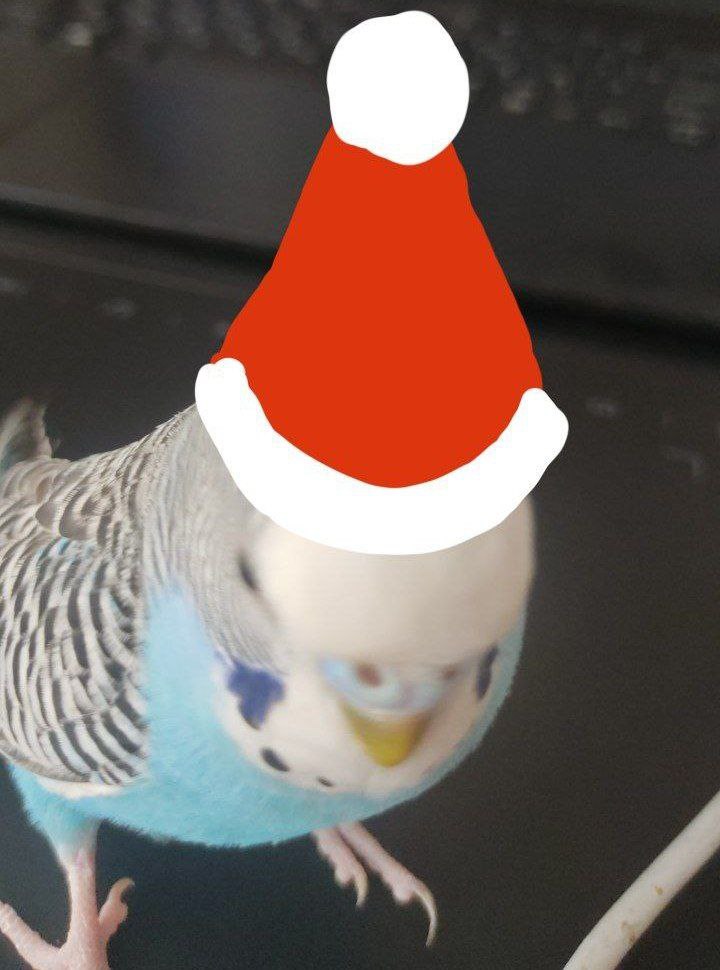 Элосуйи (@elosuyi) on Twitter photo 