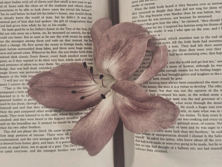 slytsand's tweet photo. 𓂃⊹˙⋆ livros lidos em 𝟐𝟎𝟐𝟔
                             a thread ˎˊ˗ https://t.co/xLYZm5SEYC