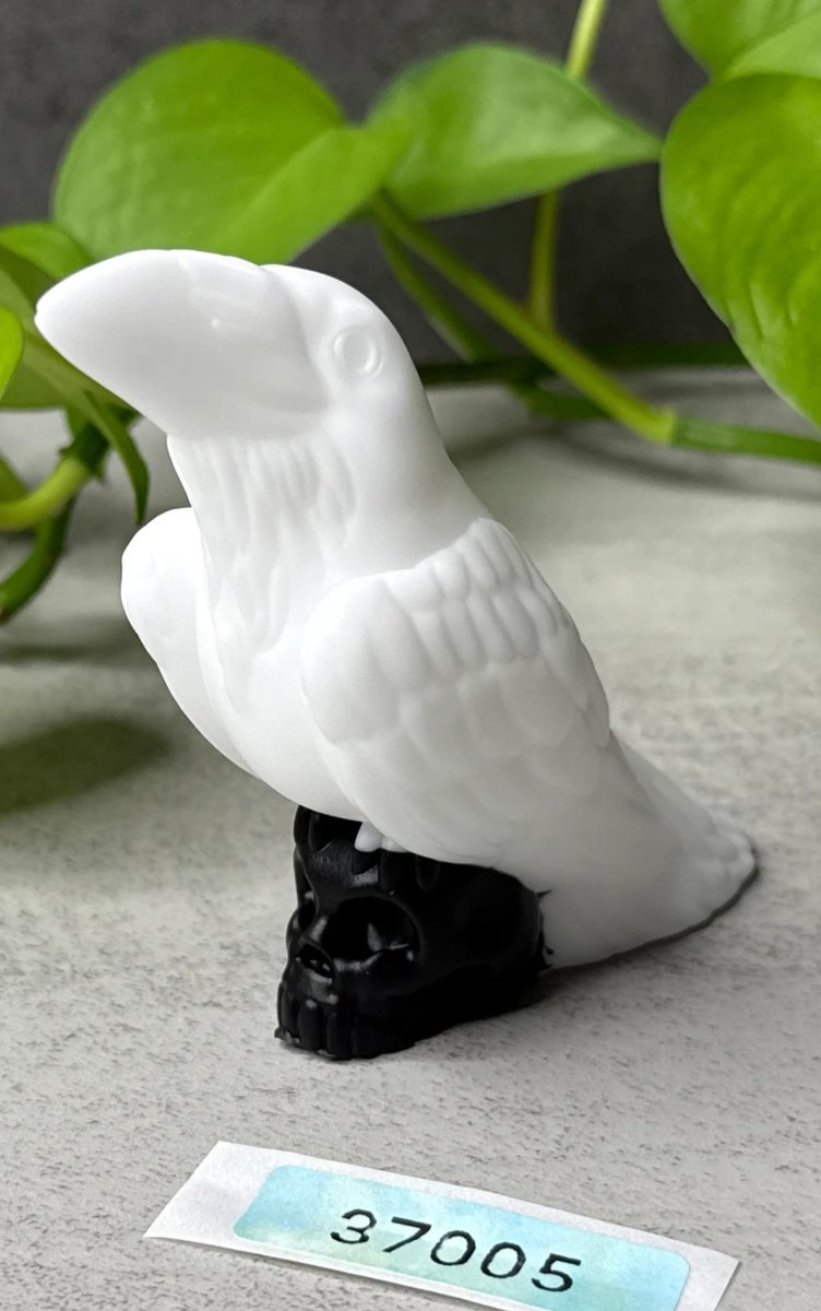 First 2026 grabs 💕✨️