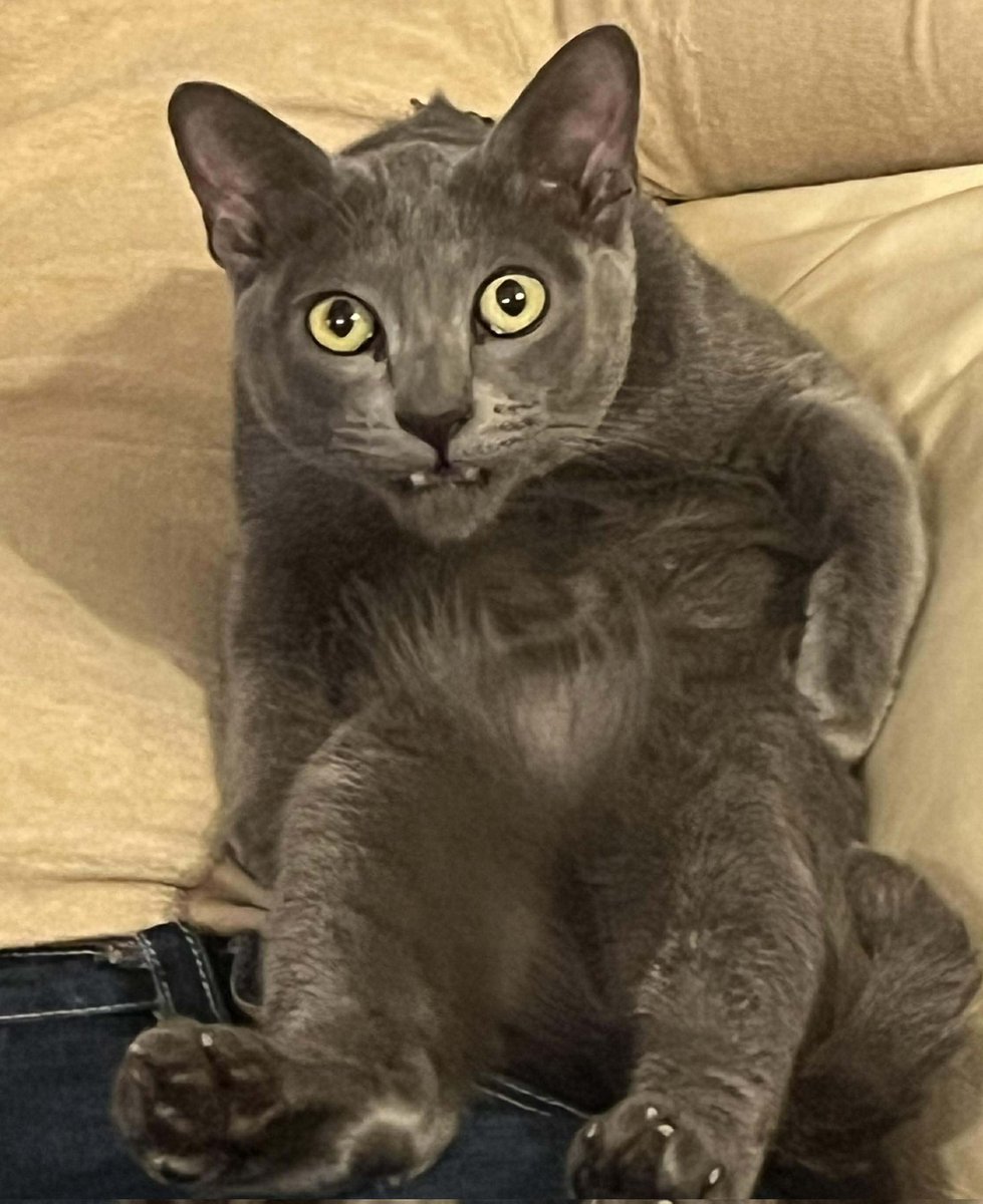 daddy egg sack tweet media