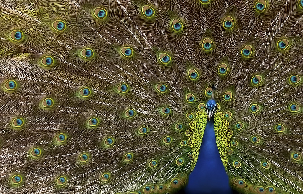 MemoryStudioUK's tweet image. Double page feature in N photo magazine for this old shot from a few years ago titled - SHOW THE LOVE 💚💛 #Nikon #nphoto #photography #photooftheday #photographer