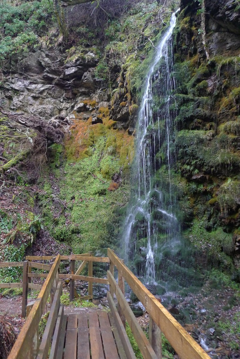 The Cycling Scot tweet media