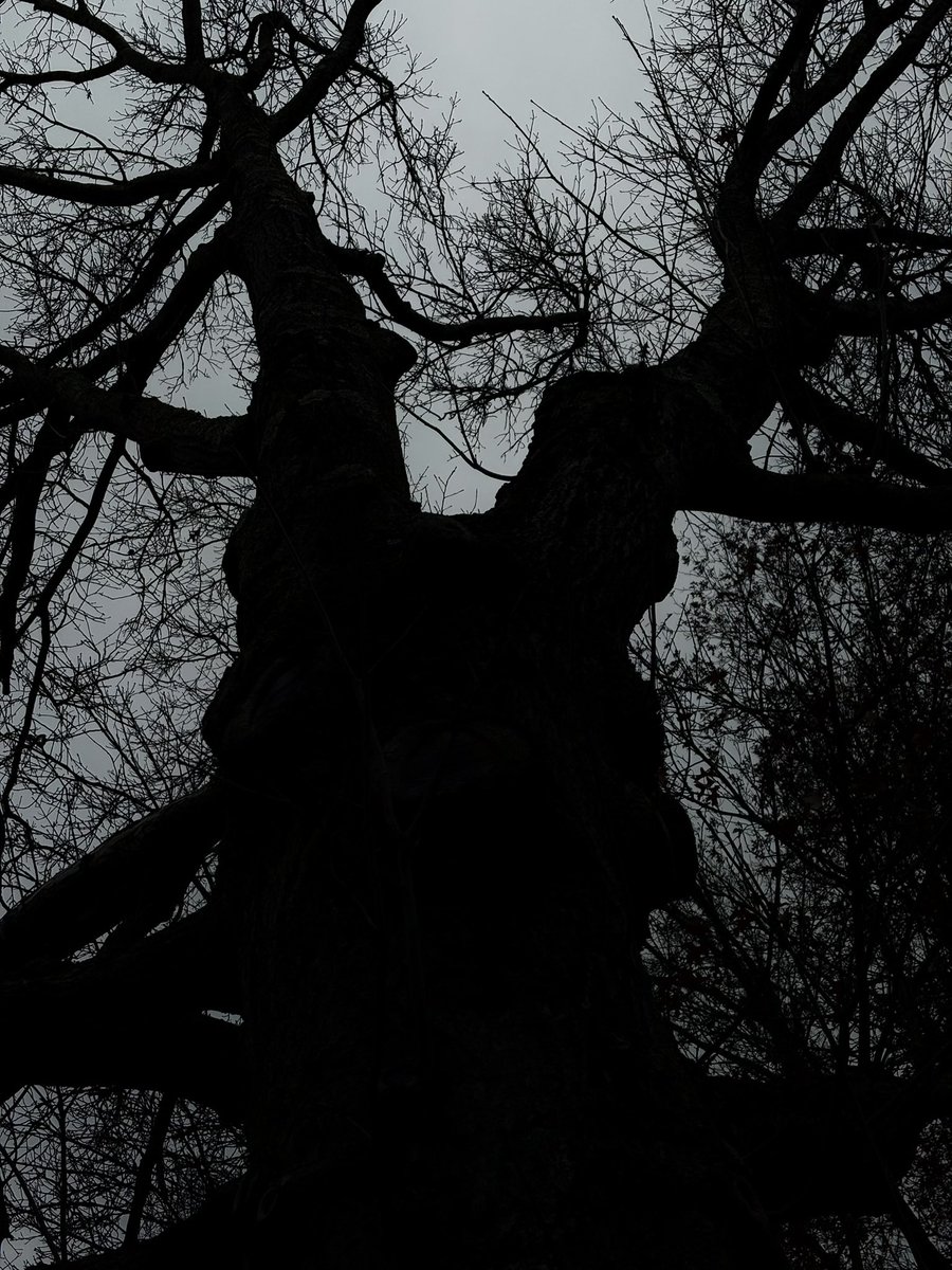 Burgeryearner's tweet image. 