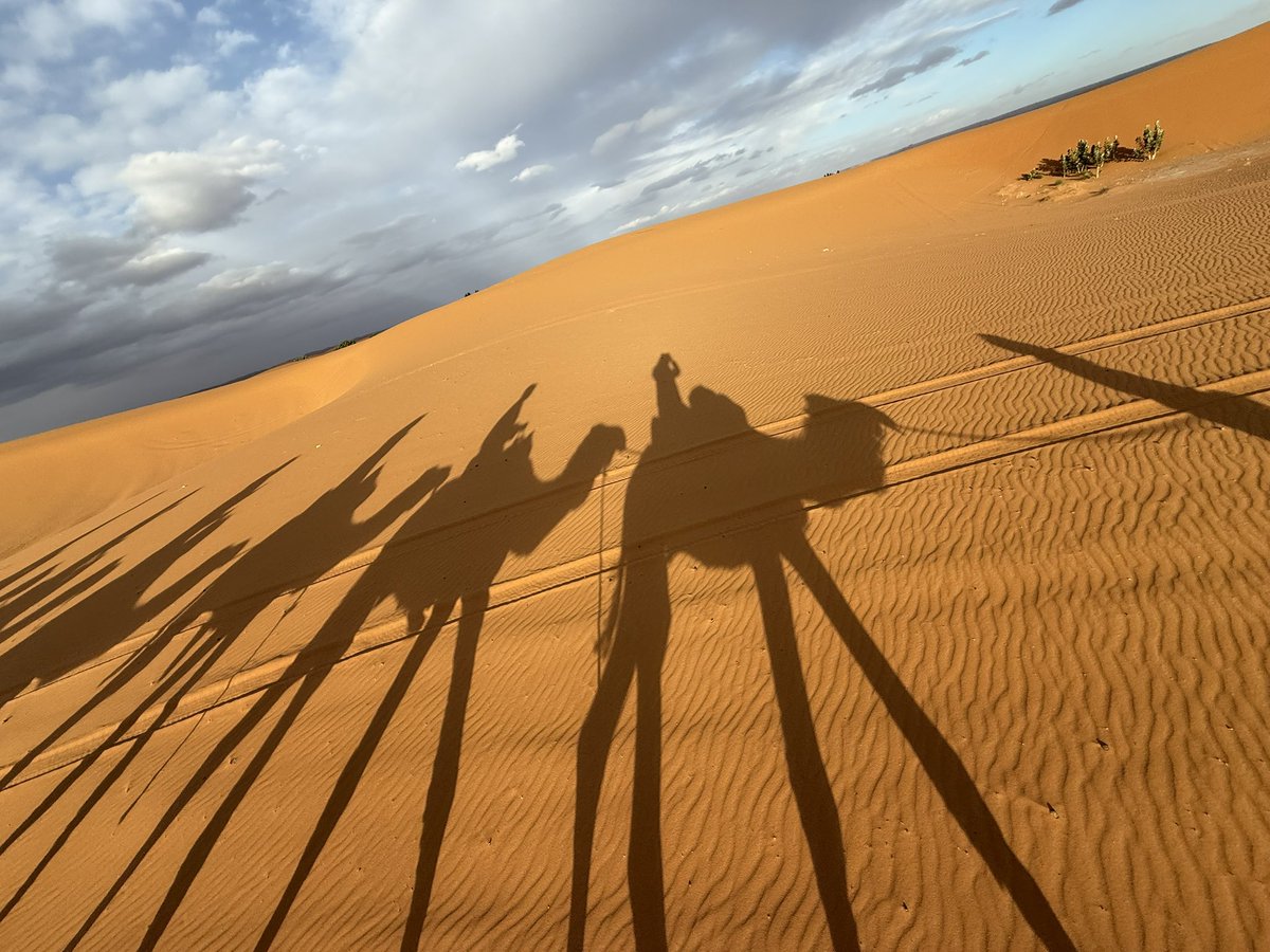 TaunyaPainter's tweet image. Back from a lovely trip to Morocco and feeling grateful in 2026 that I call Houston home ❤️