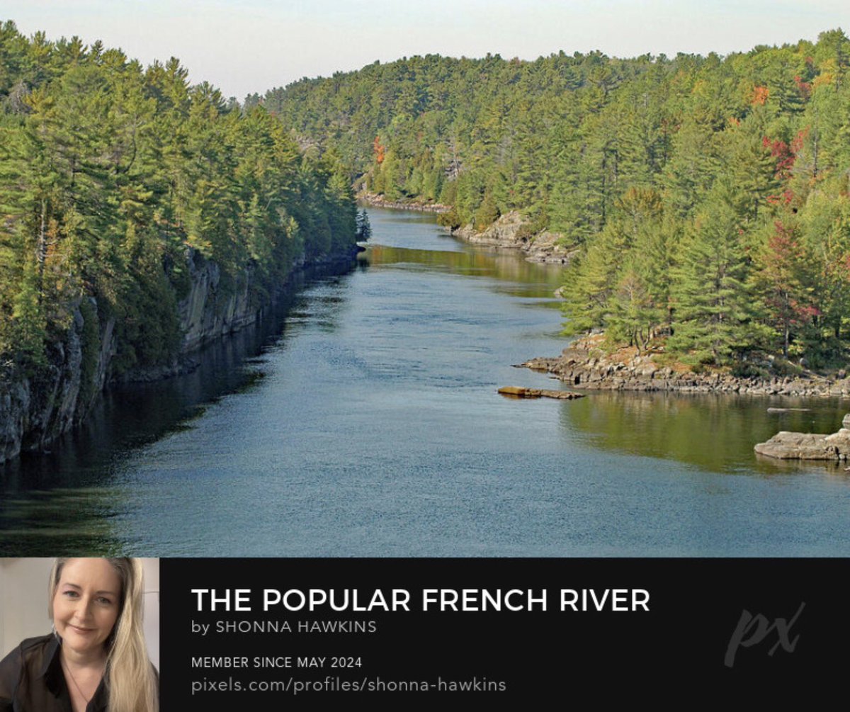 shonna99784's tweet photo. The Popular French River Sudbury District https://t.co/Mm0N5Z2Md9
#ThePopular #FrenchRiver #SudburyDistrict #Fishing #Autumn #ShonnaHawkinsPhotography https://t.co/65GqysgC0n