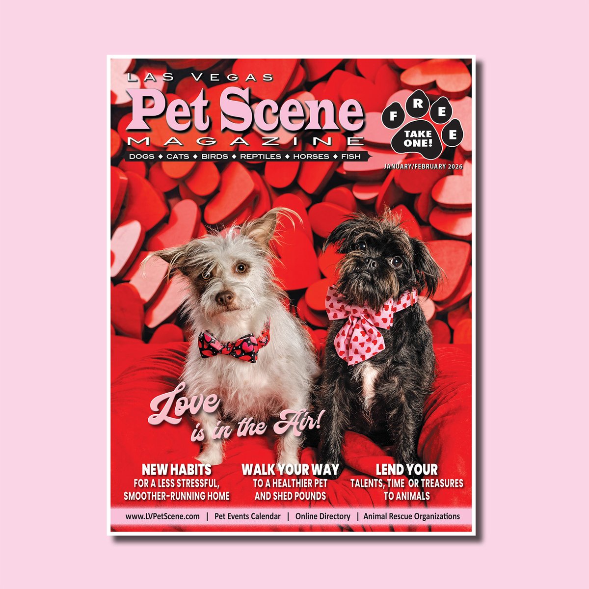 Las Vegas Pet Scene tweet media