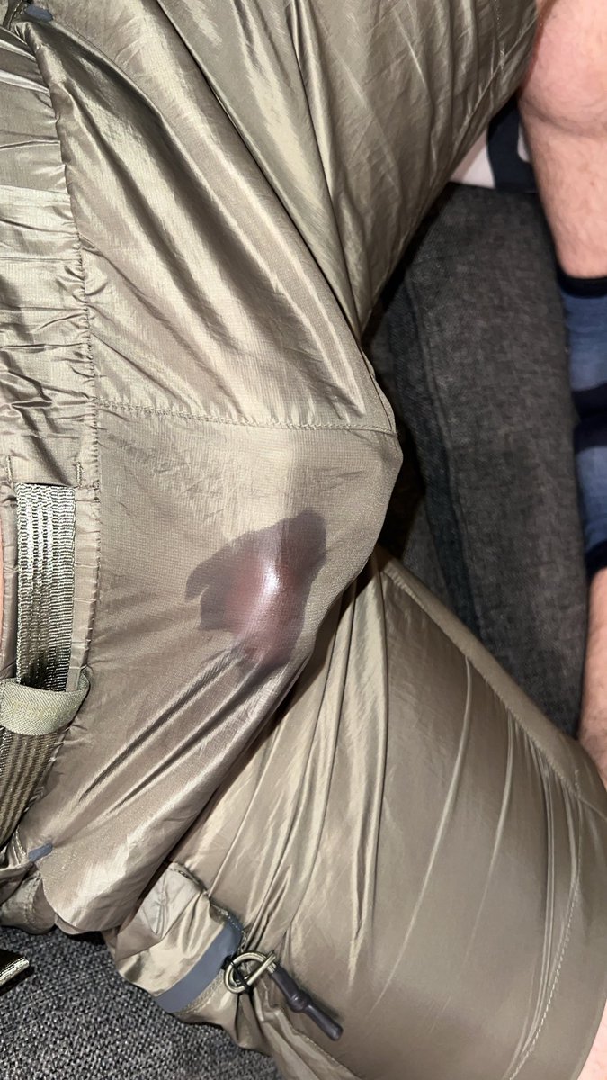 Shiny Sportswear Dude tweet media