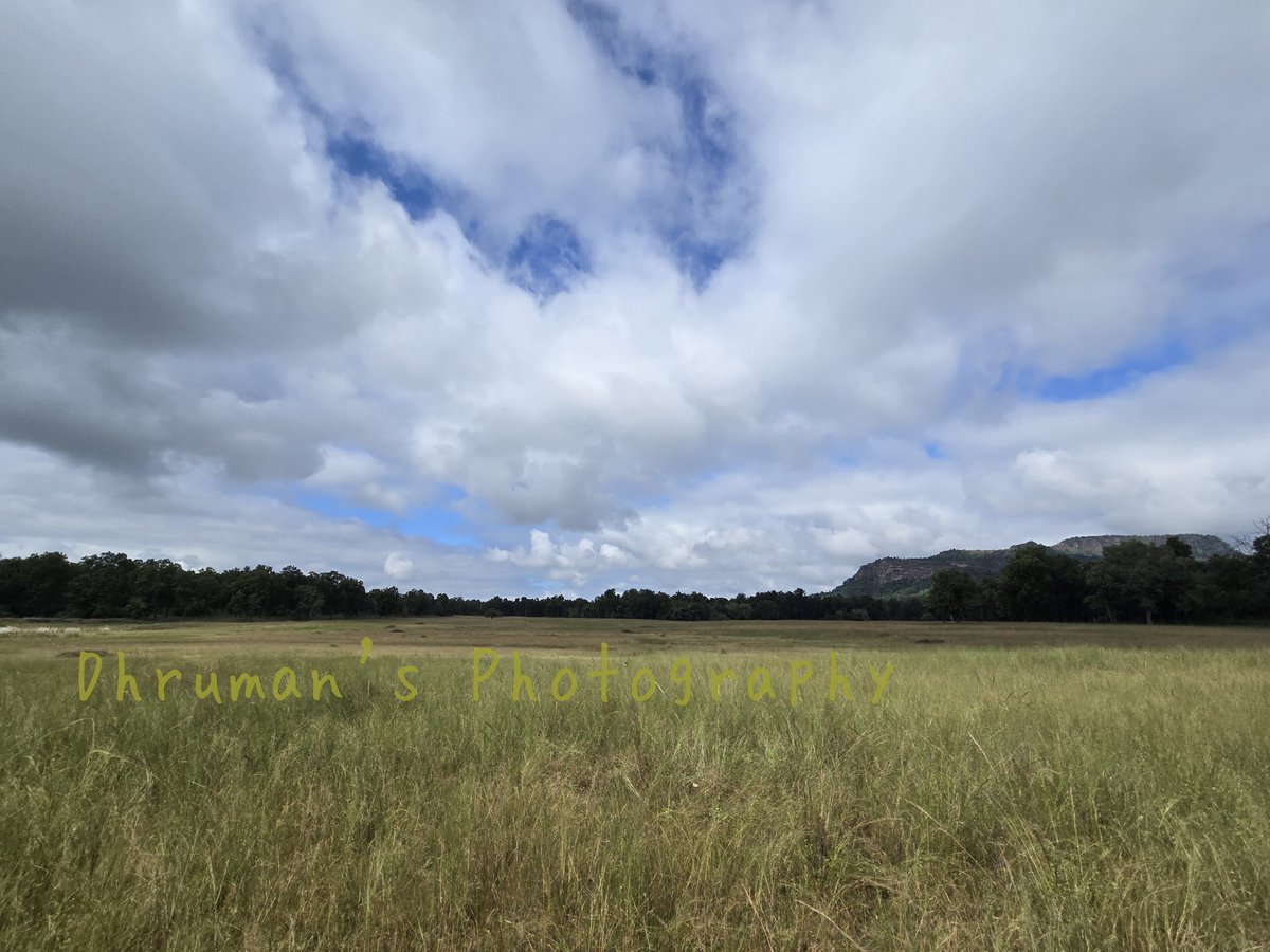 dhruman39's tweet image. Two #Elements...
Contacting eachother!😘😘
@MPTourism

#clouds #Sky #Ether #Earth #Nature #beauty 
#cloud
#Bandhavgarh 
#BandhavgarhNationalpark
