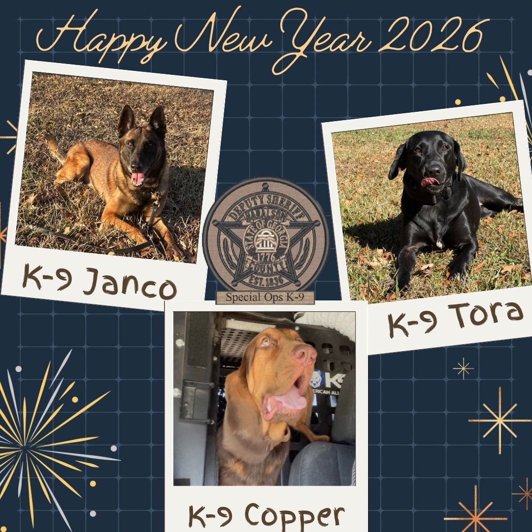 HaralsonSheriff's tweet image. Happy New Year from the Haralson County Sheriff’s Office K-9 Division!!

⭐️K-9 Janco, K-9 Tora, and K-9 Copper wish you all the best in this new year⭐️

#HappyNewYear
#K9Janco🐾
#K9Tora🐾💙
#K9Copper🐾
#2026
#HCK9Division
#HCSO