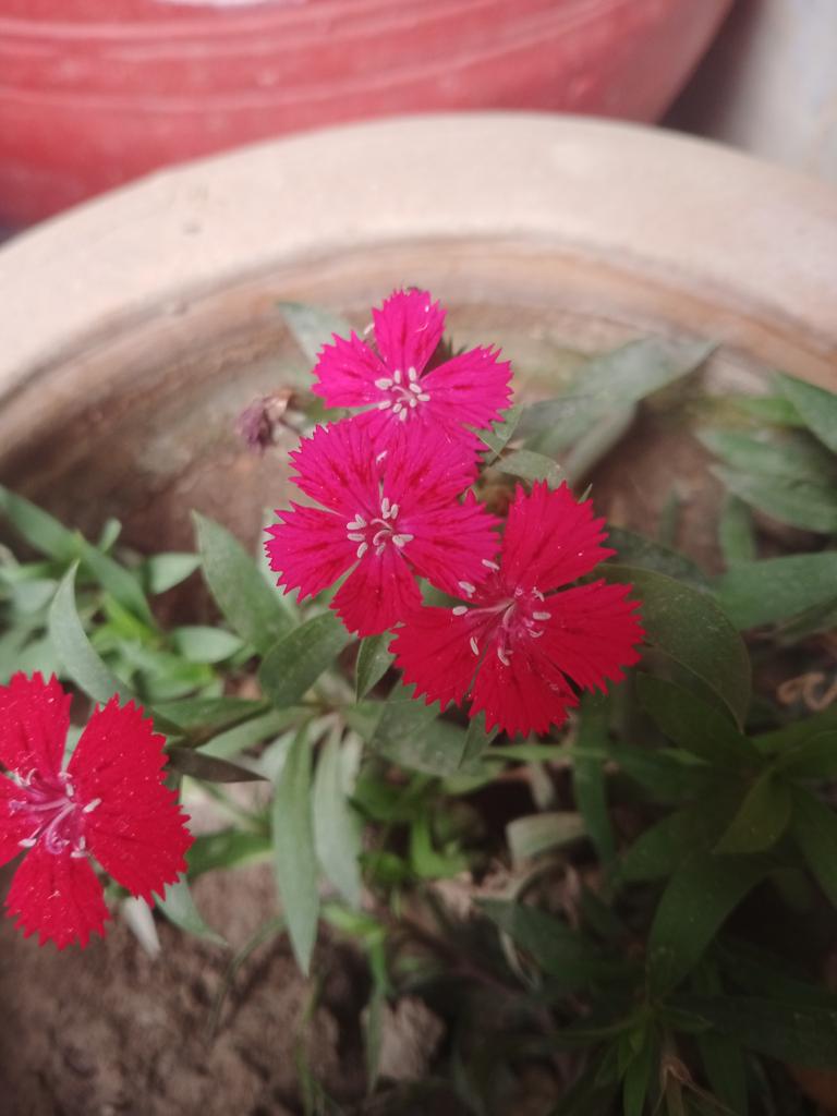 میری دنیا میں کوئی چیز ٹھکانے پہ نہیں...!!
بس تجھے دیکھ کے لگتا ہے کہ سب اچھا ہے

#قومی_زبان